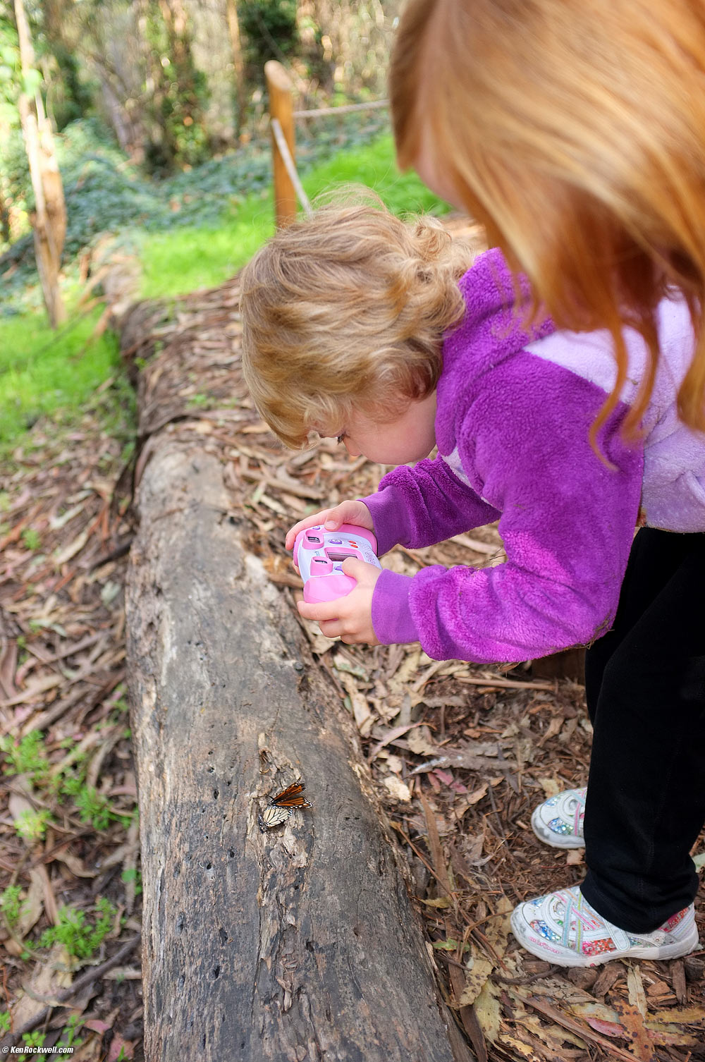 Katie snaps a butterfly, 10:47 AM.