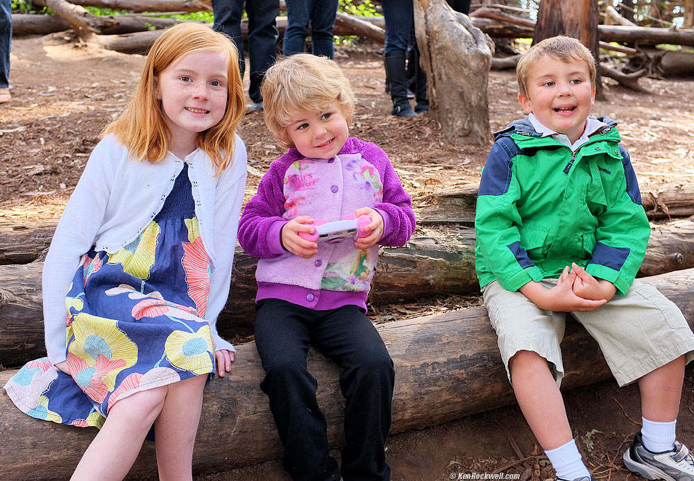 The kids sitting at the butterfly grove, 10:54 AM