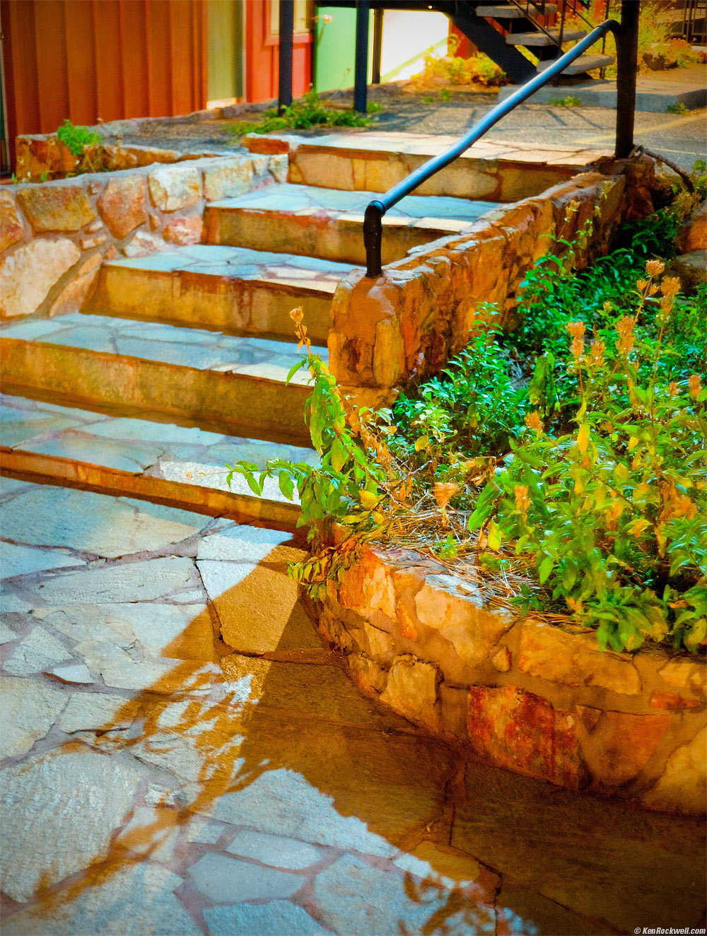 Lighting Around Boulder Lodge Walkway and Confused Plants, June Lake