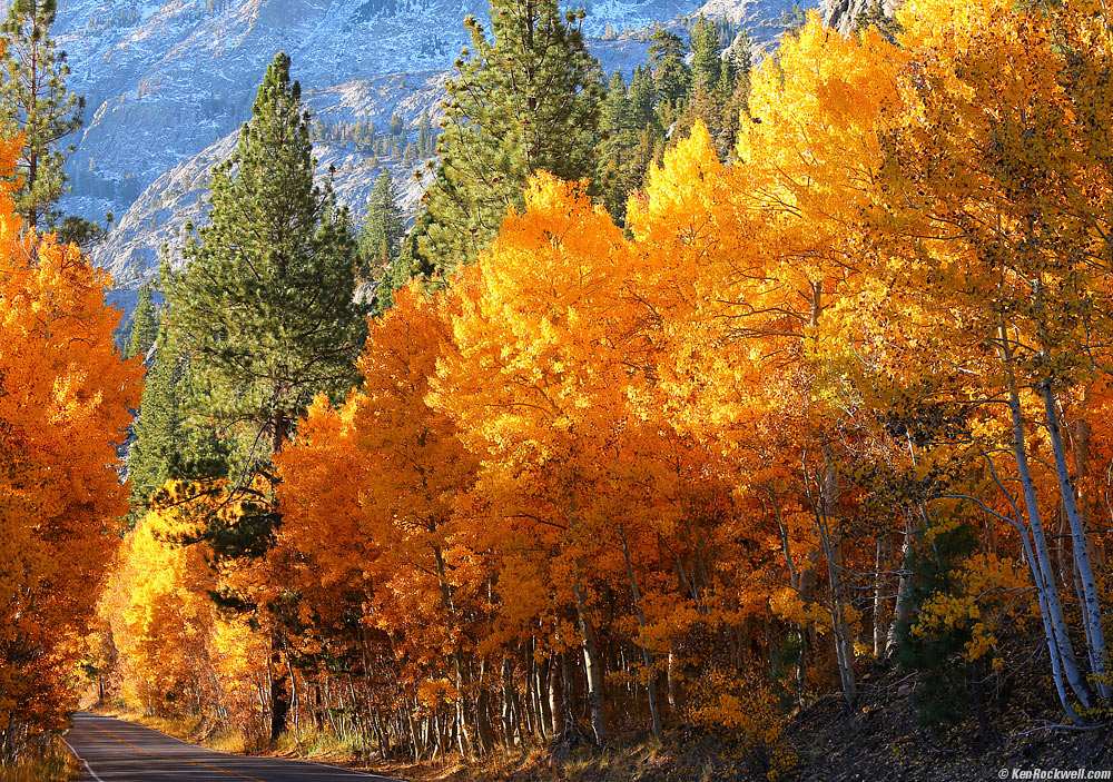 The Road from Silver Lake in Fall Colors