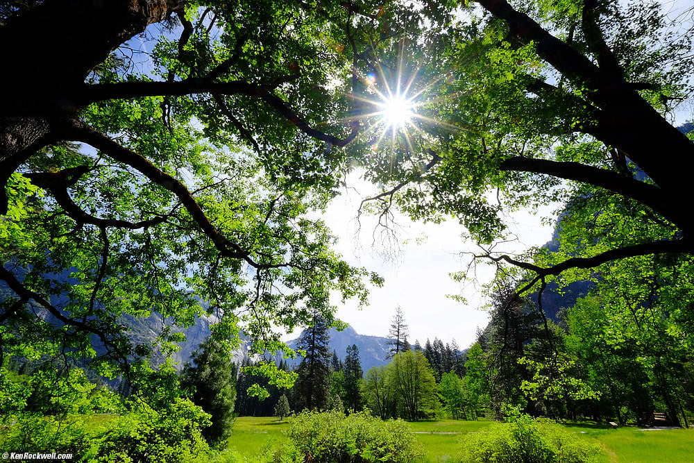 Yosemite Valley as Seen from the Superintendant's House