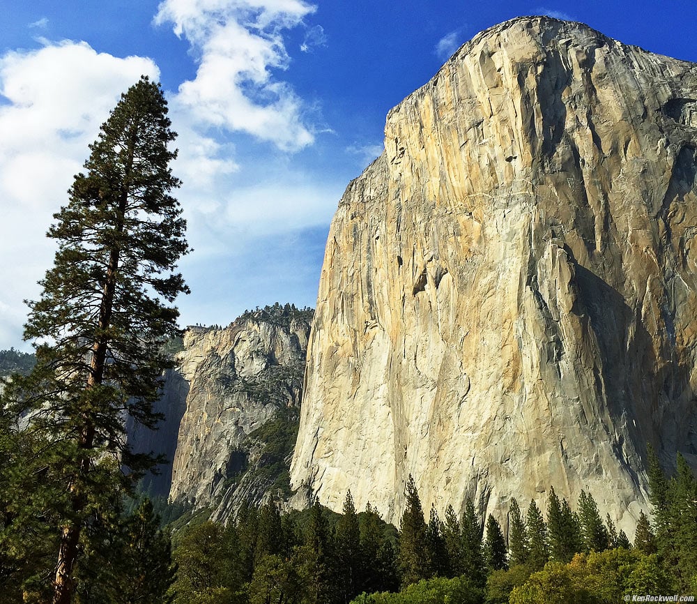 El Capitan as Seen from El Capitan Meadow, Yosemite Valley