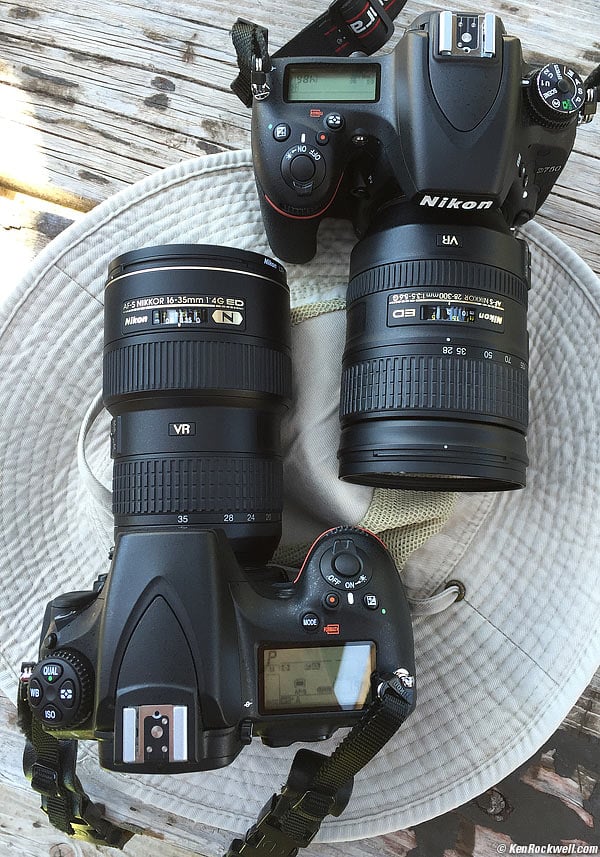 Nikon D750 and D810 together