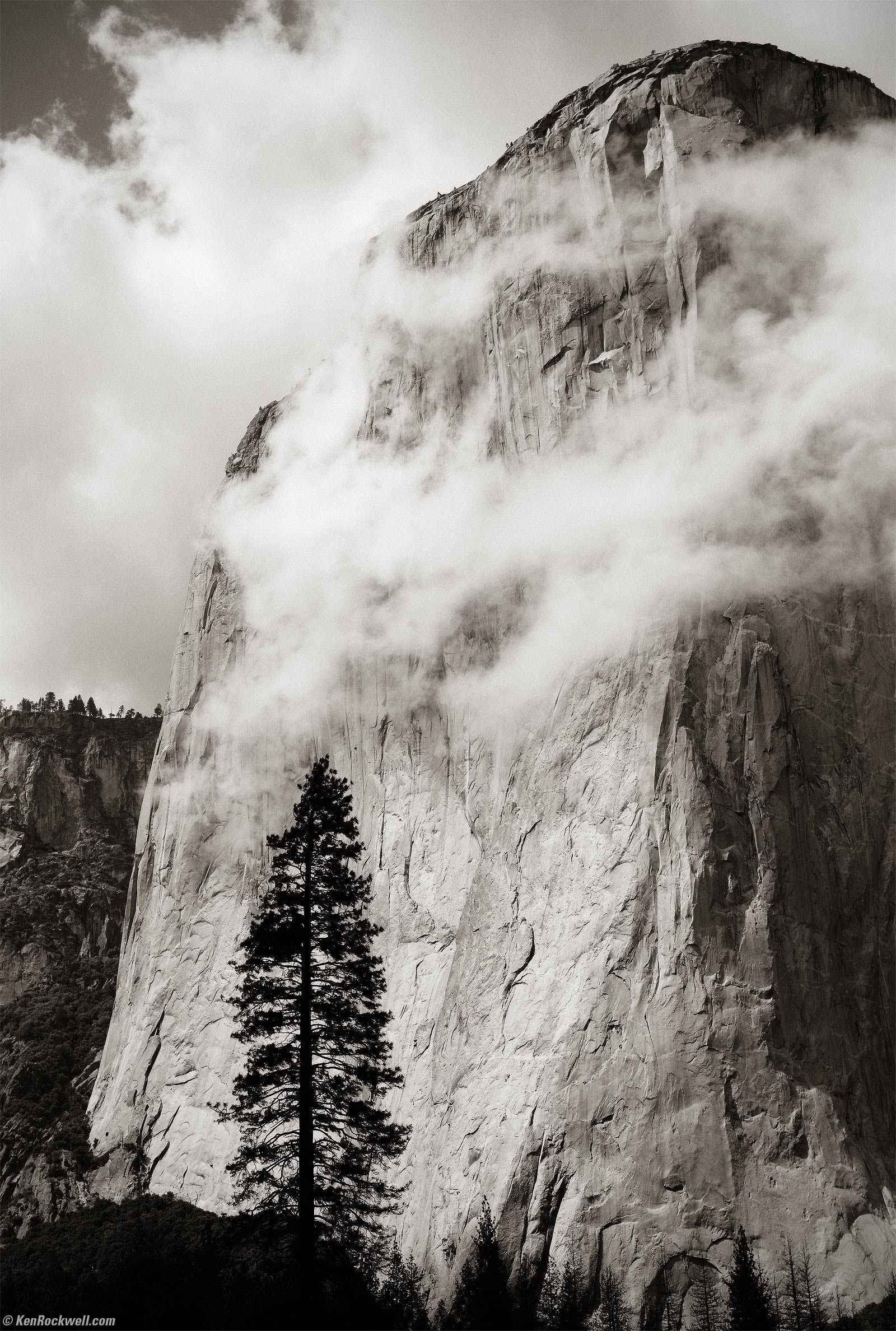 El Capitan with tree in clouds in Black and White