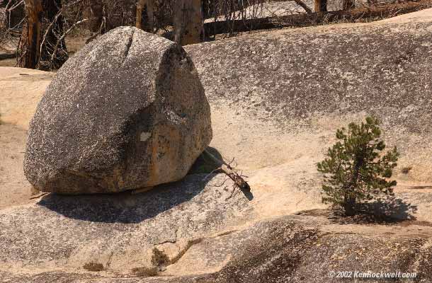 1503stone