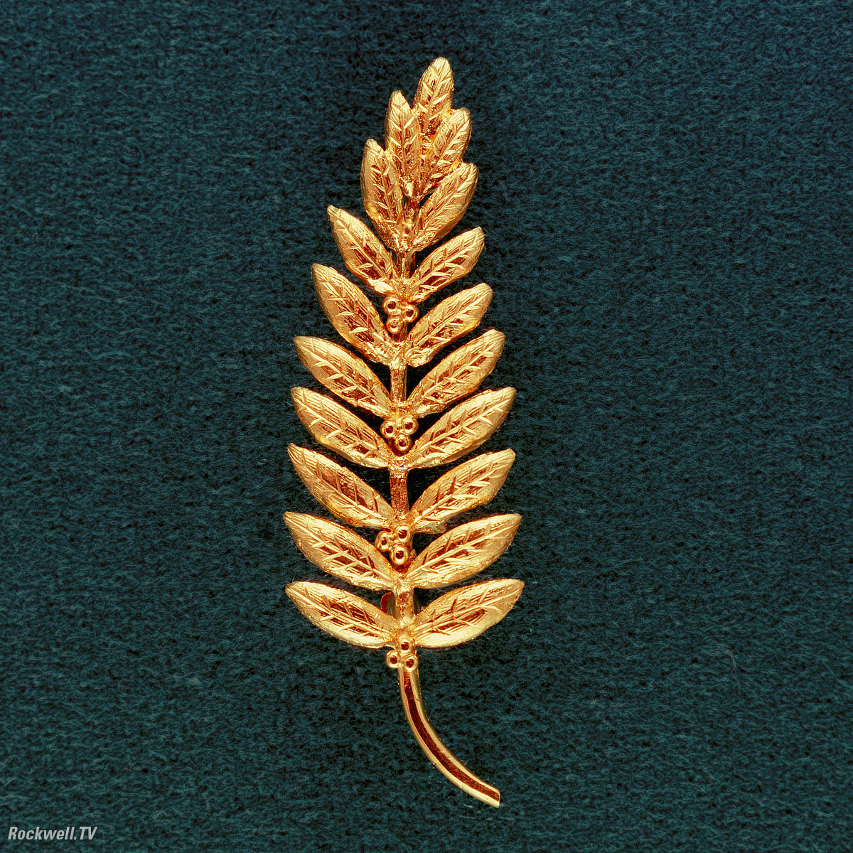 Olive Branch