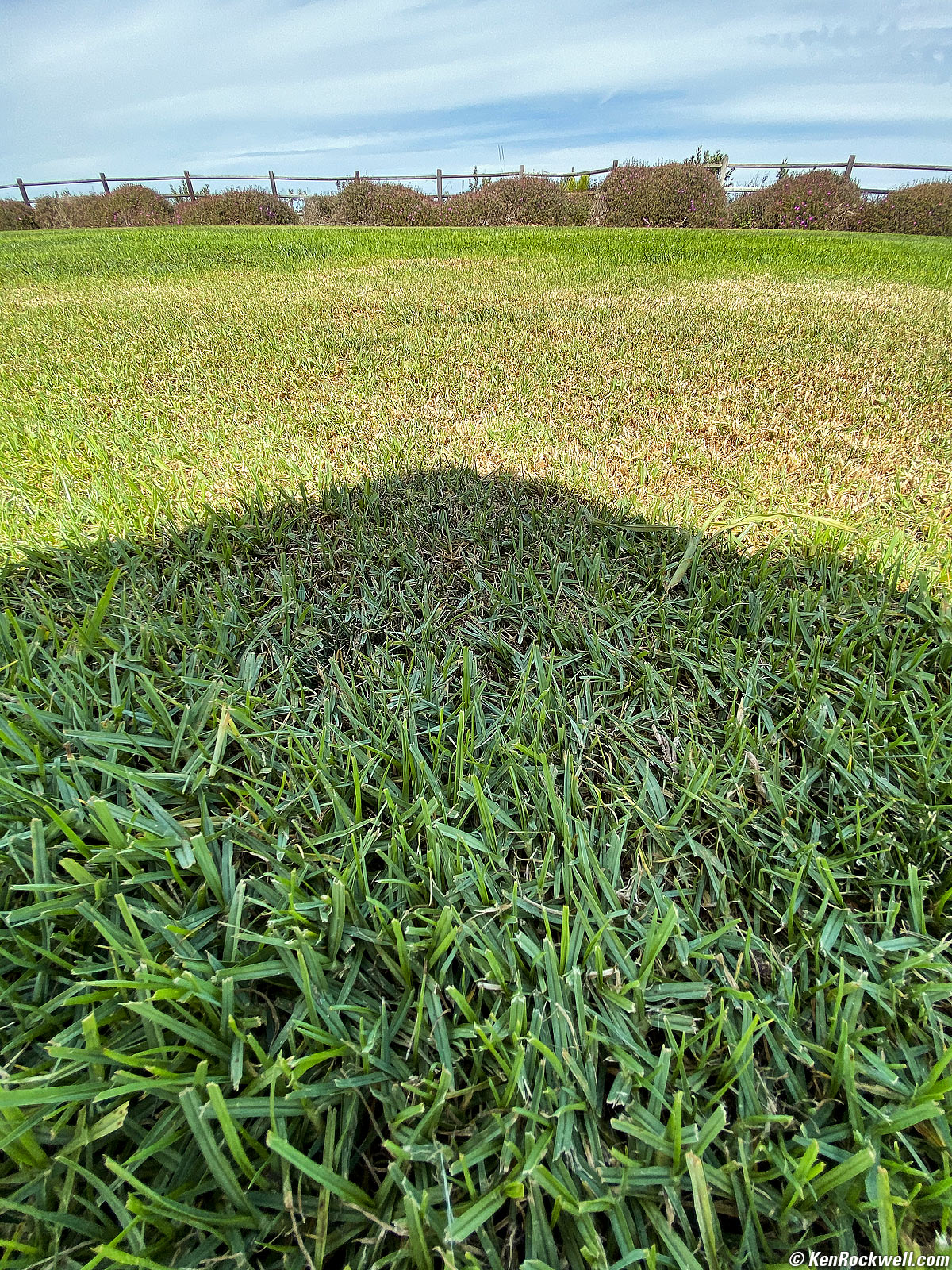 Iphone 11 Pro Max Review