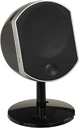 Focal Little Bird