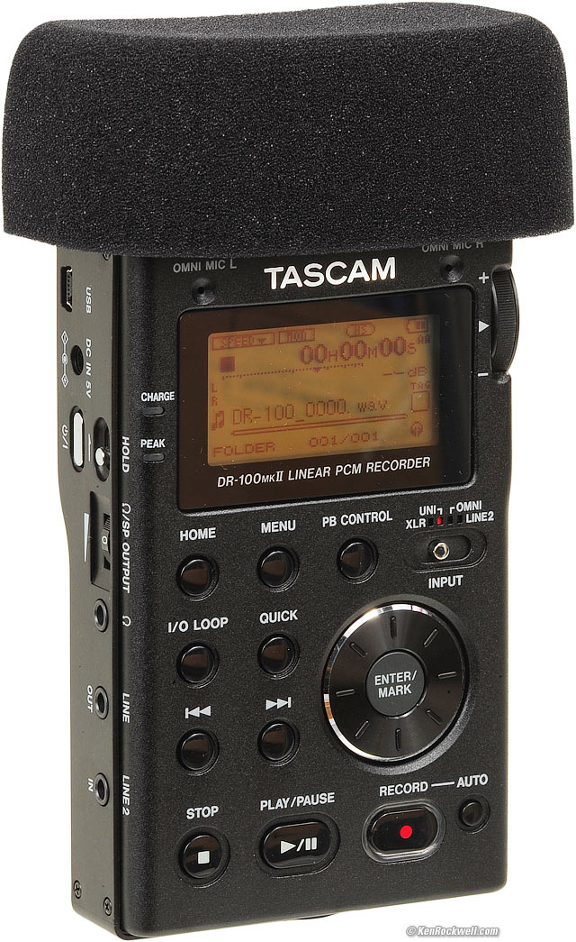 TASCAM DR-100 Mk II Review