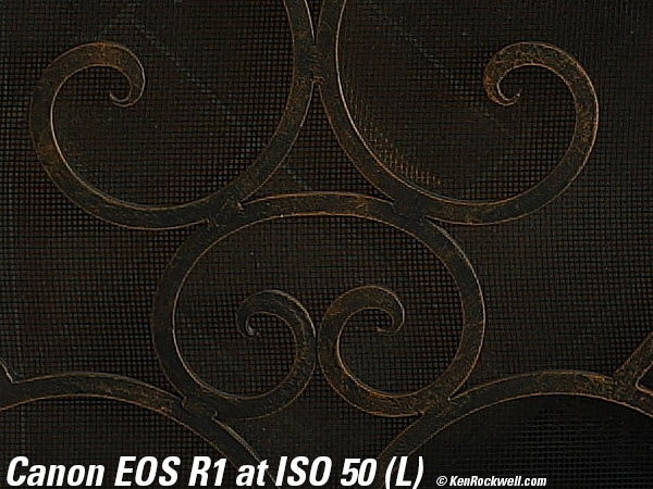 Canon EOS R1 High ISO Sample Image Files