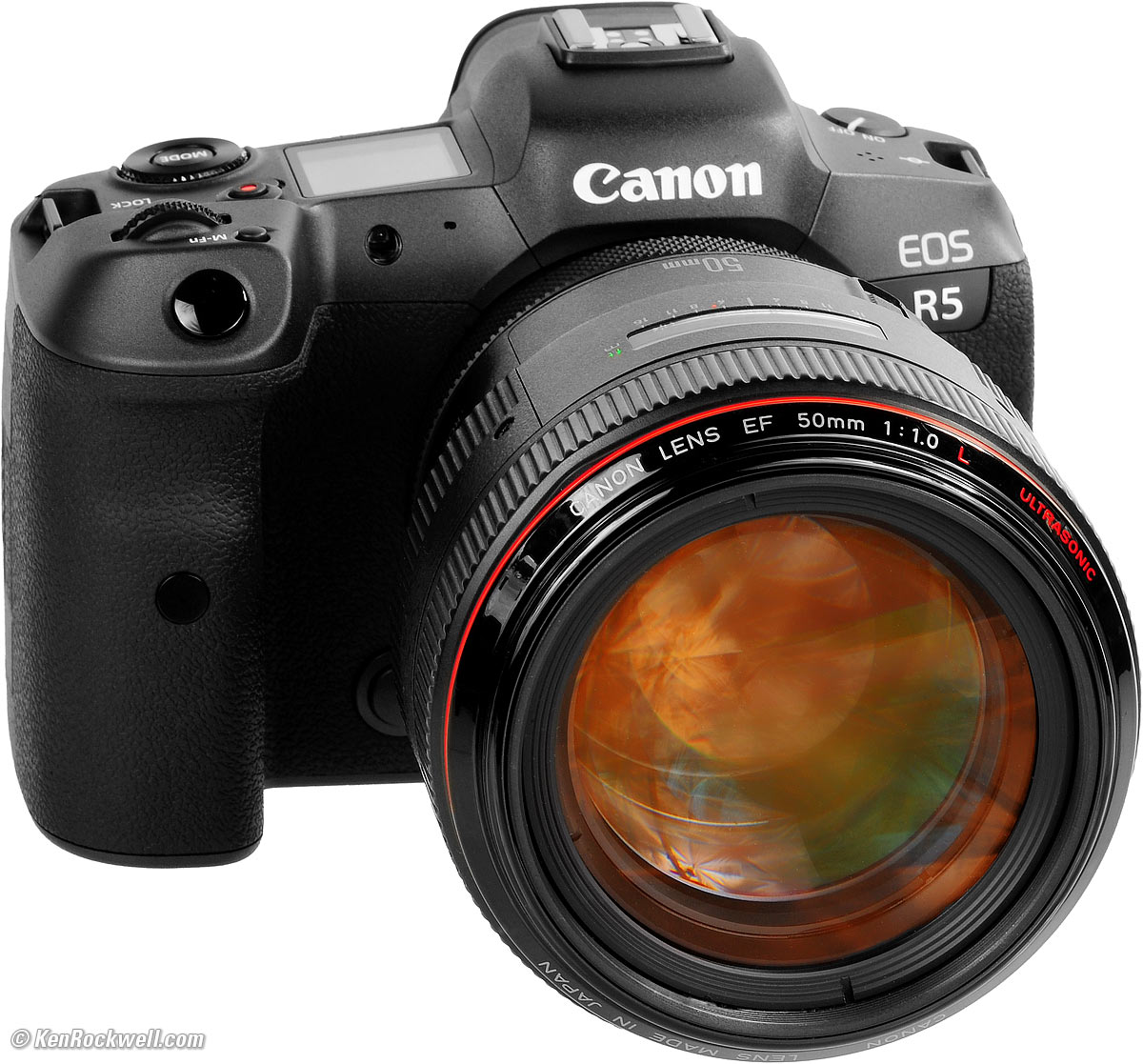 satelliet Niet meer geldig Additief Canon EOS R5 Review