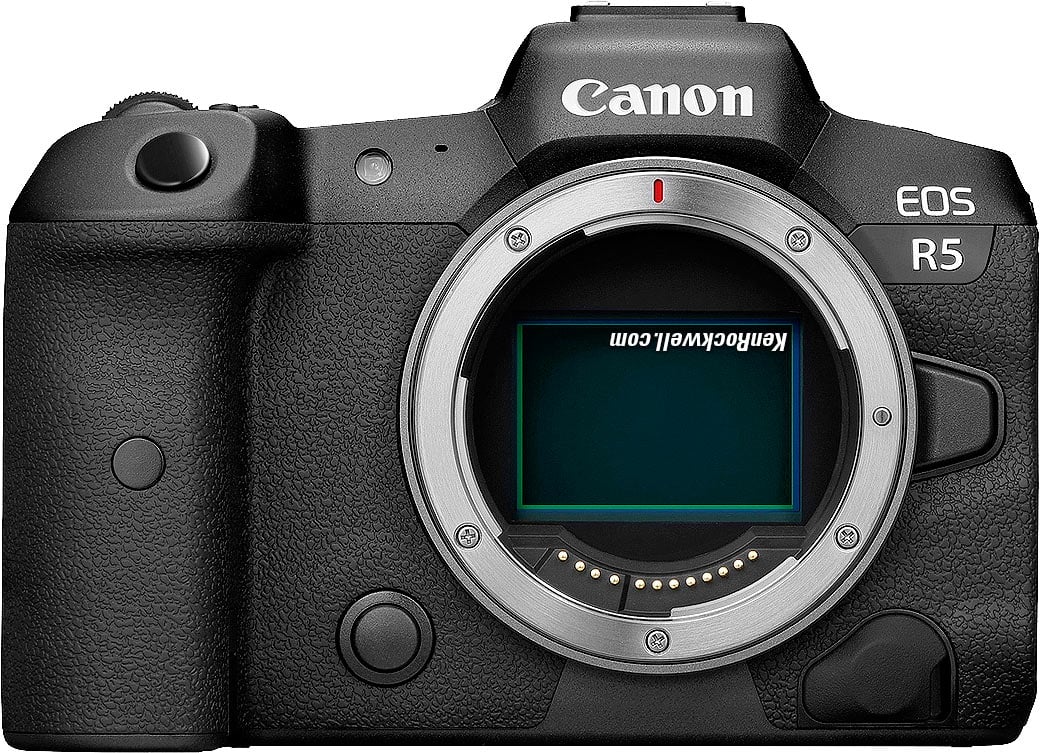 Canon EOS R, RP, R5 & R6 Compared