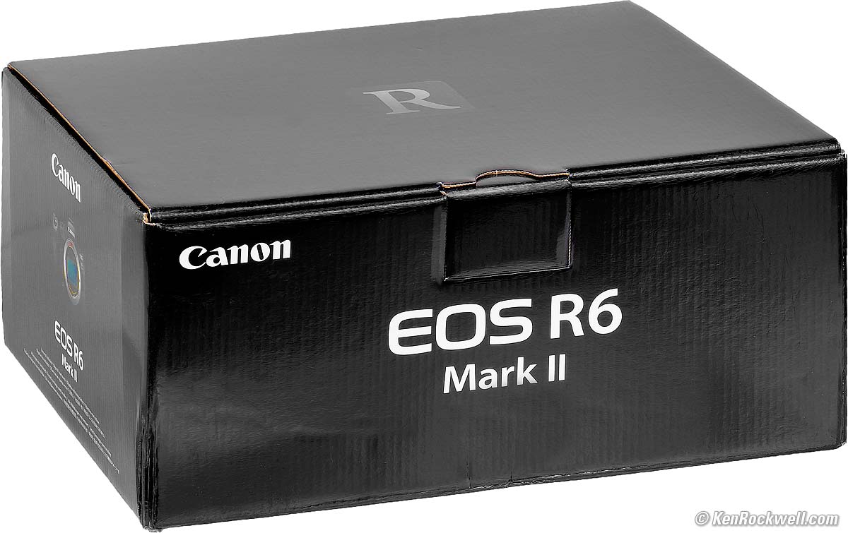 Canon EOS R6 Mark II review