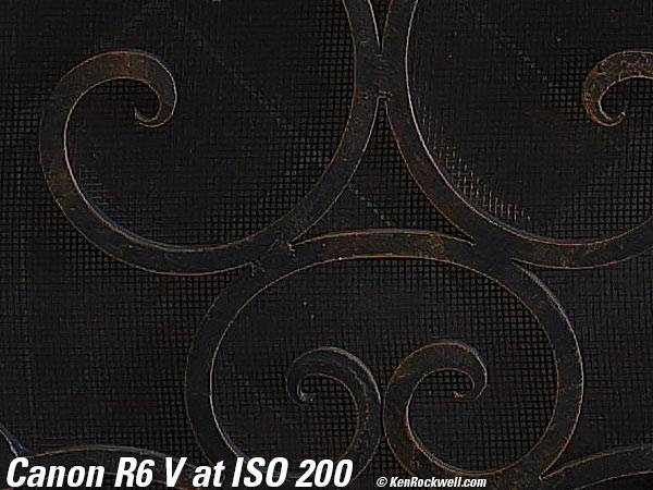 Canon R6 V High ISO Sample Image