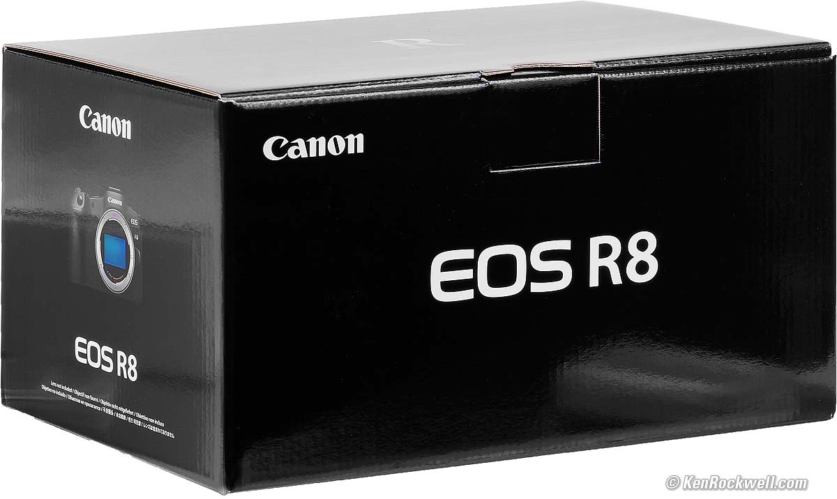Canon EOS R8 Mirrorless Camera 5803C002 - Adorama