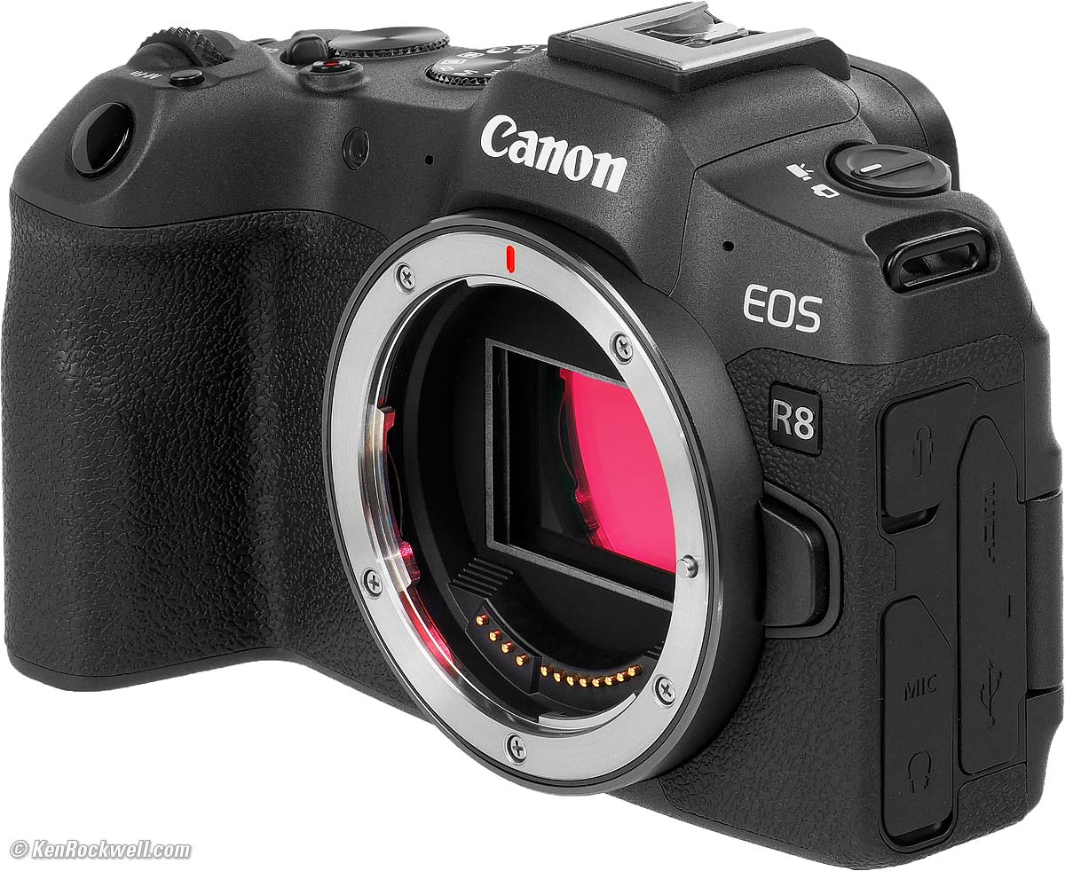 Testing The Limits of the New Canon EOS R8 Mirrorless Camera