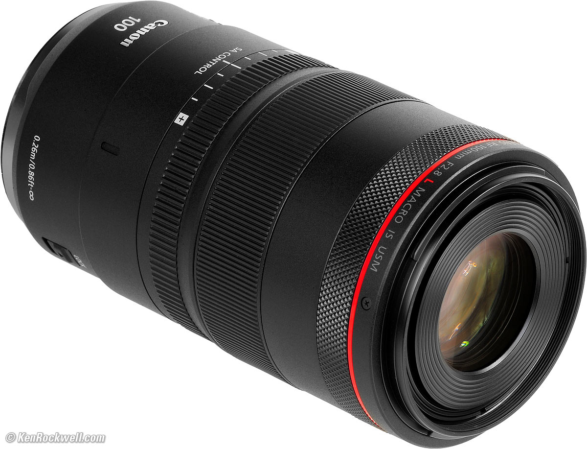 Canon RF 100mm f/2.8 Macro