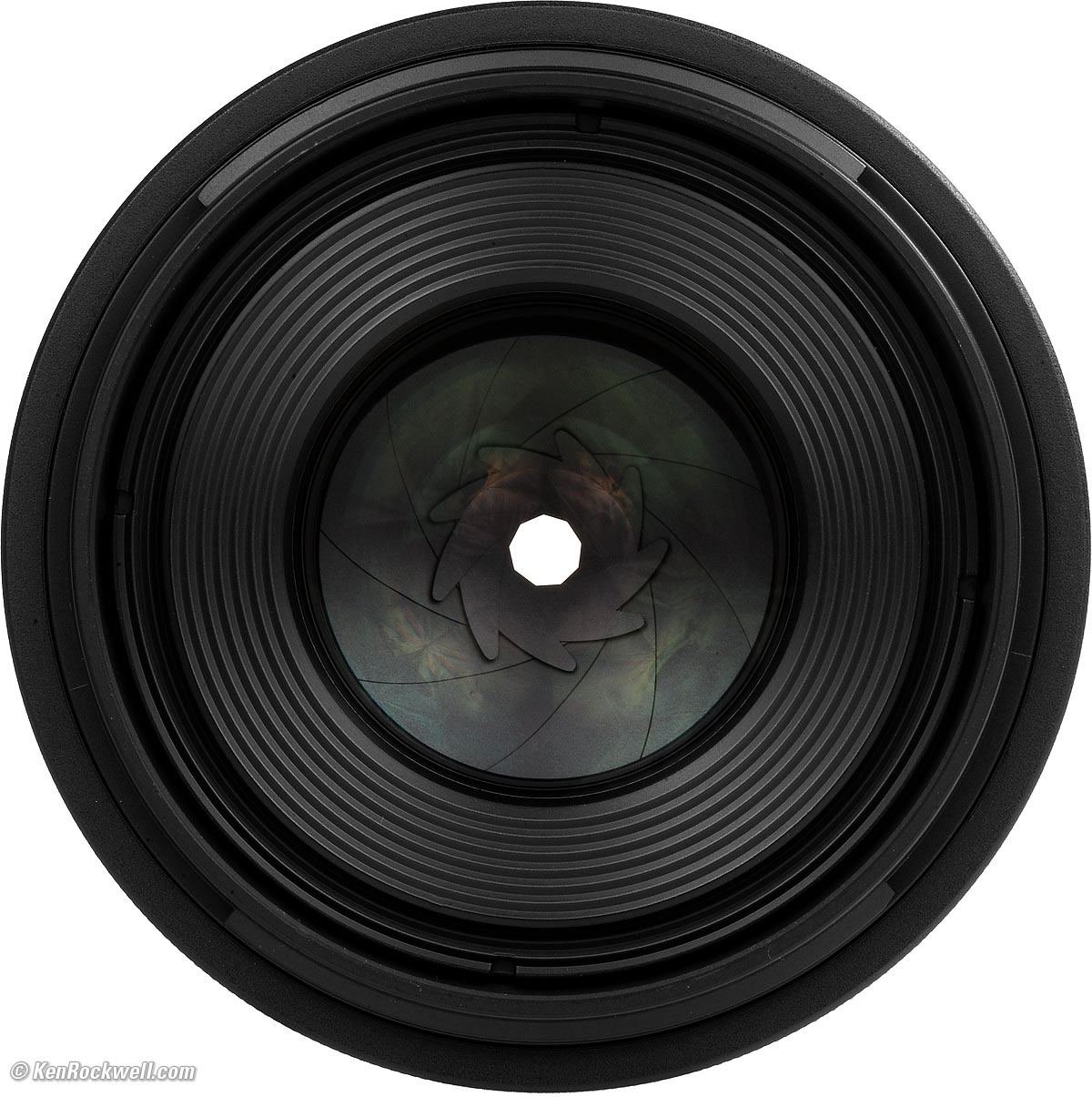 Canon RF 100mm f/2.8L IS Macro Review Canon RF 100mm f/2.8L IS Macro Review