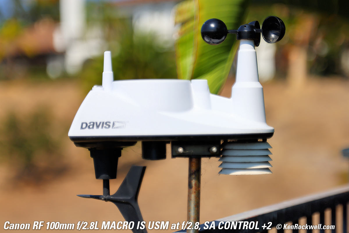Canon RF 100mm f/2.8 Macro SA Control example Image