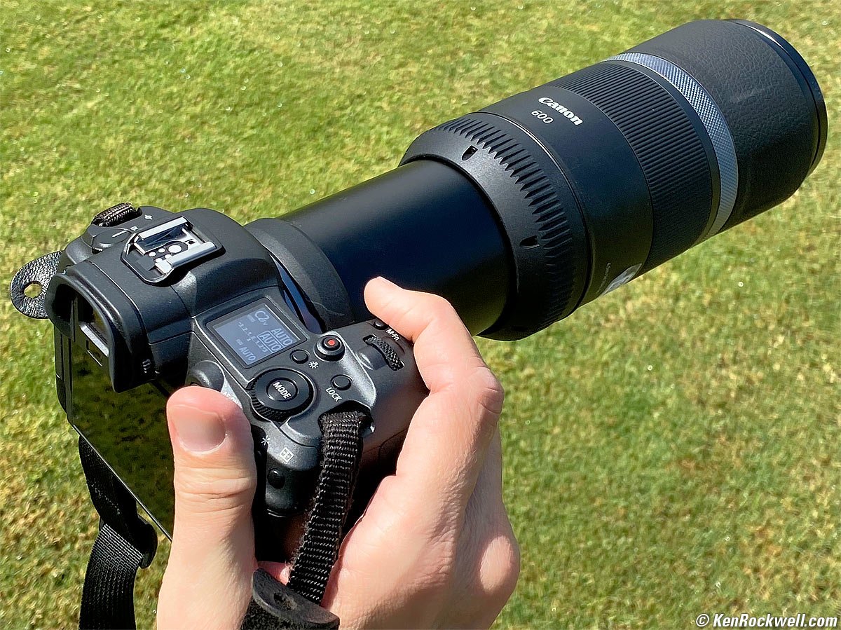 Canon RF 600mm f/11 Review
