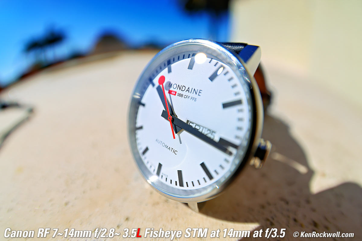 Canon RF 7-14mm Fisheye Macro performance sample image