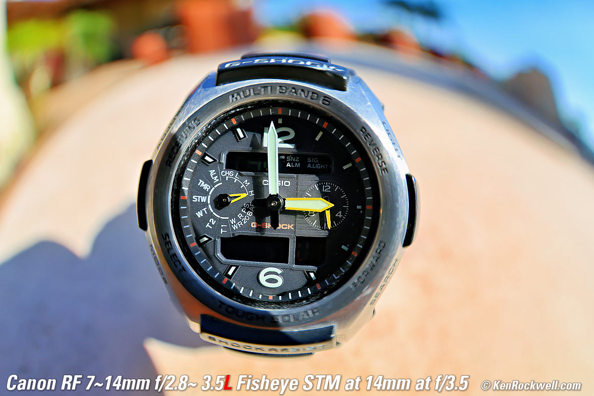 Canon RF 7-14mm Fisheye Macro performance sample image