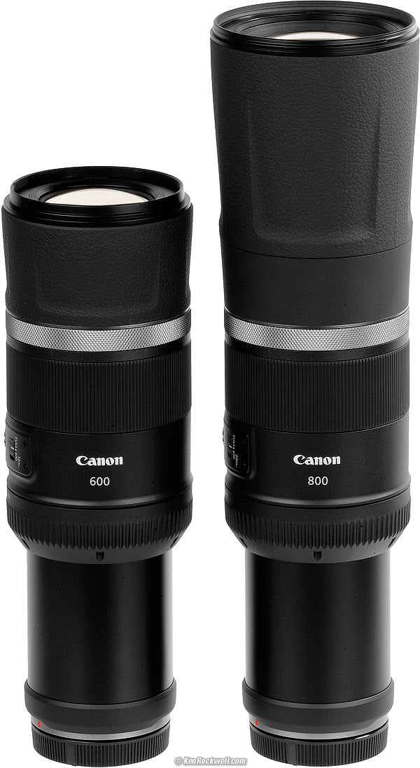 Canon RF 600mm f/11 Review Canon RF 600mm f/11 Review