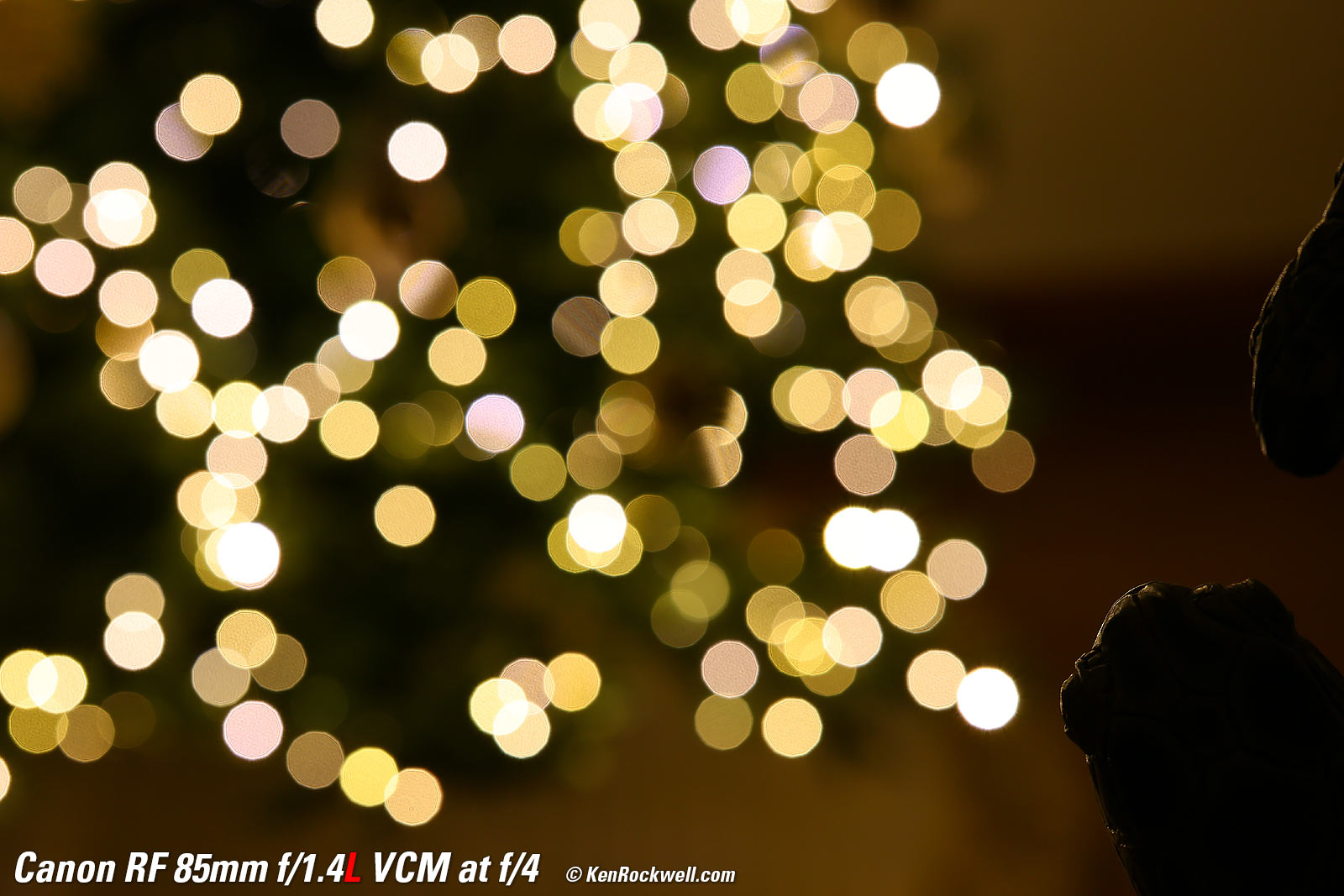 Canon RF 85mm f/1.4 Bokeh Sample Image Files