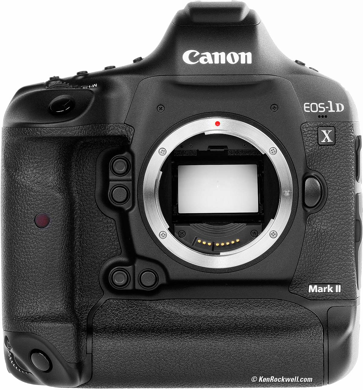 Canon 1DX Mk II Review