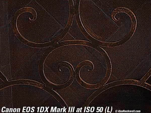 Canon 1DX Mark III High ISO Performance Sample Image File