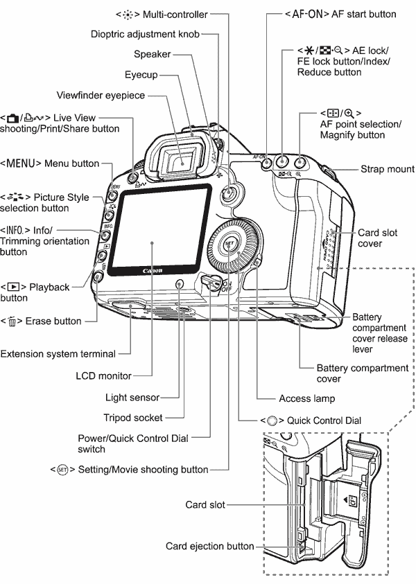 Rear Diagram