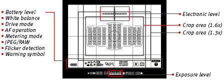 Canon 7D Mk II finder