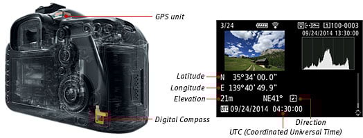 Canon 7D Mark II Review & Sample Images by Ken Rockwell
