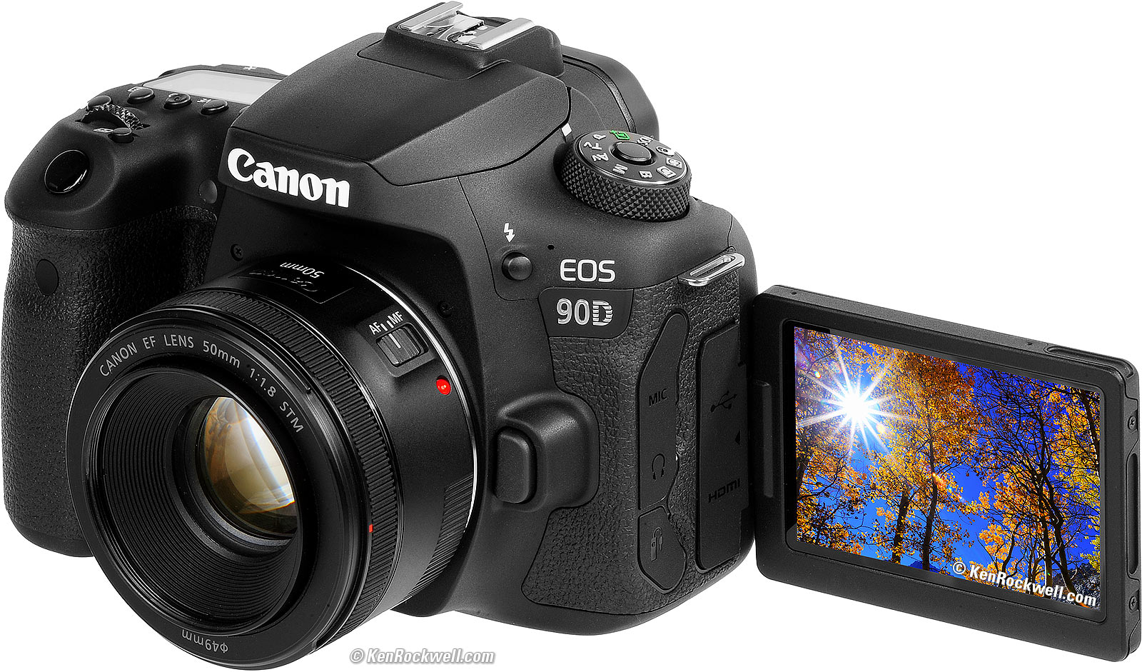 Canon EOS 90D Review