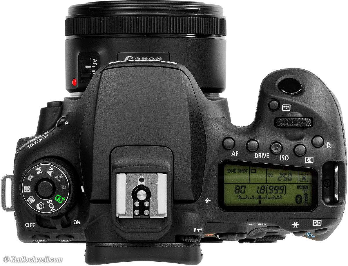 Canon EOS 90D review