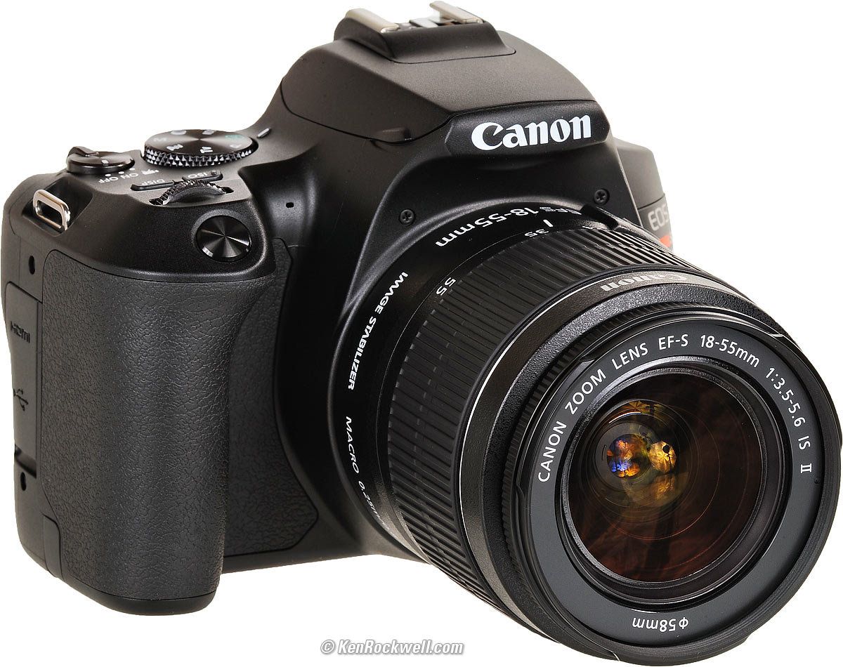 Canon EOS Rebel SL3 review: Digital Photography Review