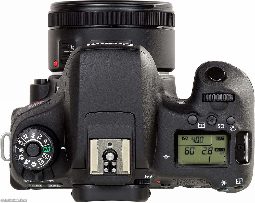PROFESSIONAL 75 Inch Tripod f/ Canon EOS Rebel T6i T6S EOS 760D 750D 8000D 