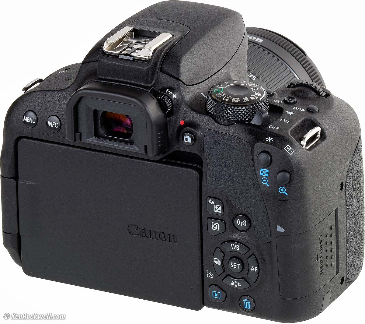 hand Respectievelijk mosterd Canon Rebel T7i (EOS 800D) Review
