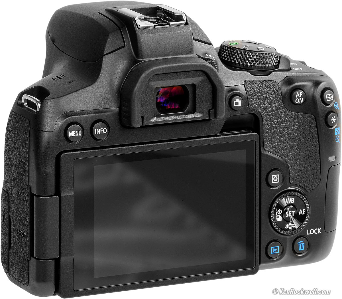 betrayal Voluntary Obligatory Canon T8i (EOS 850D) Review