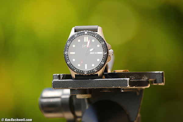 Canon 100-400mm macro performance