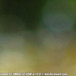 Canon 100mm f/2 Review Canon 100mm f/2 Review