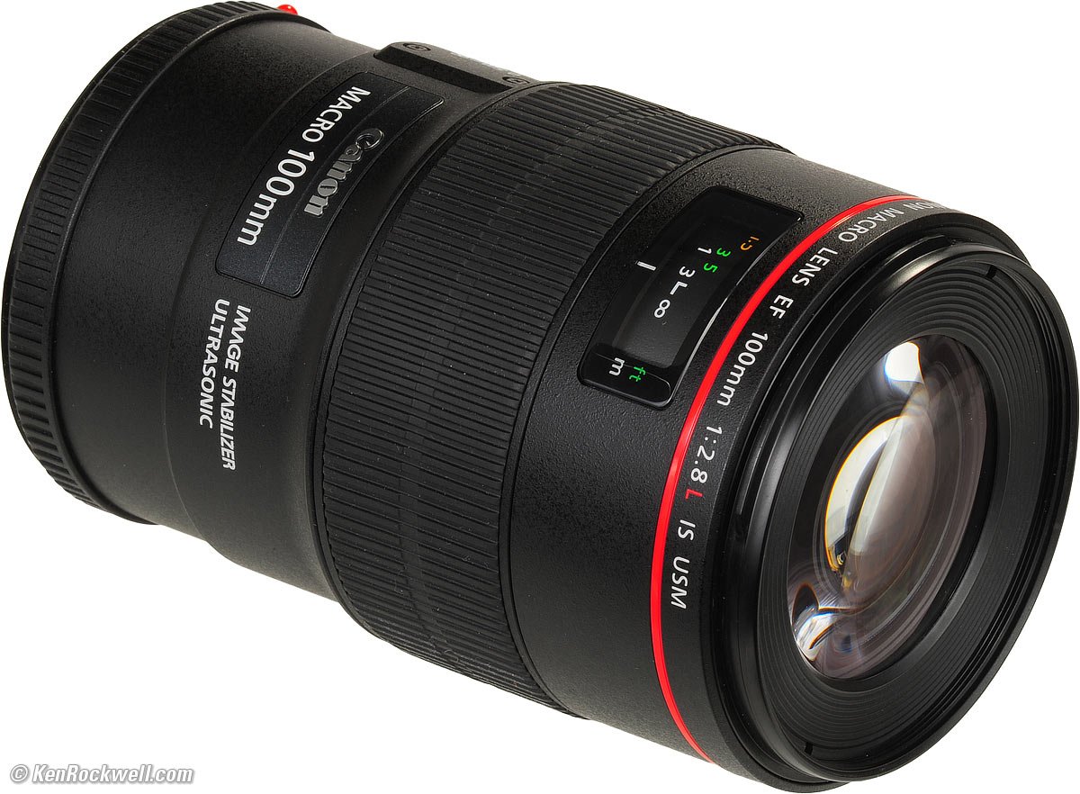 Canon EF 100mm f/2.8 L Macro IS USM