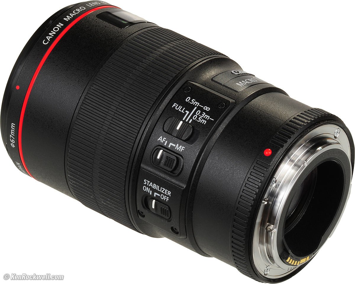 Canon 100mm F 2 8 L Is Macro