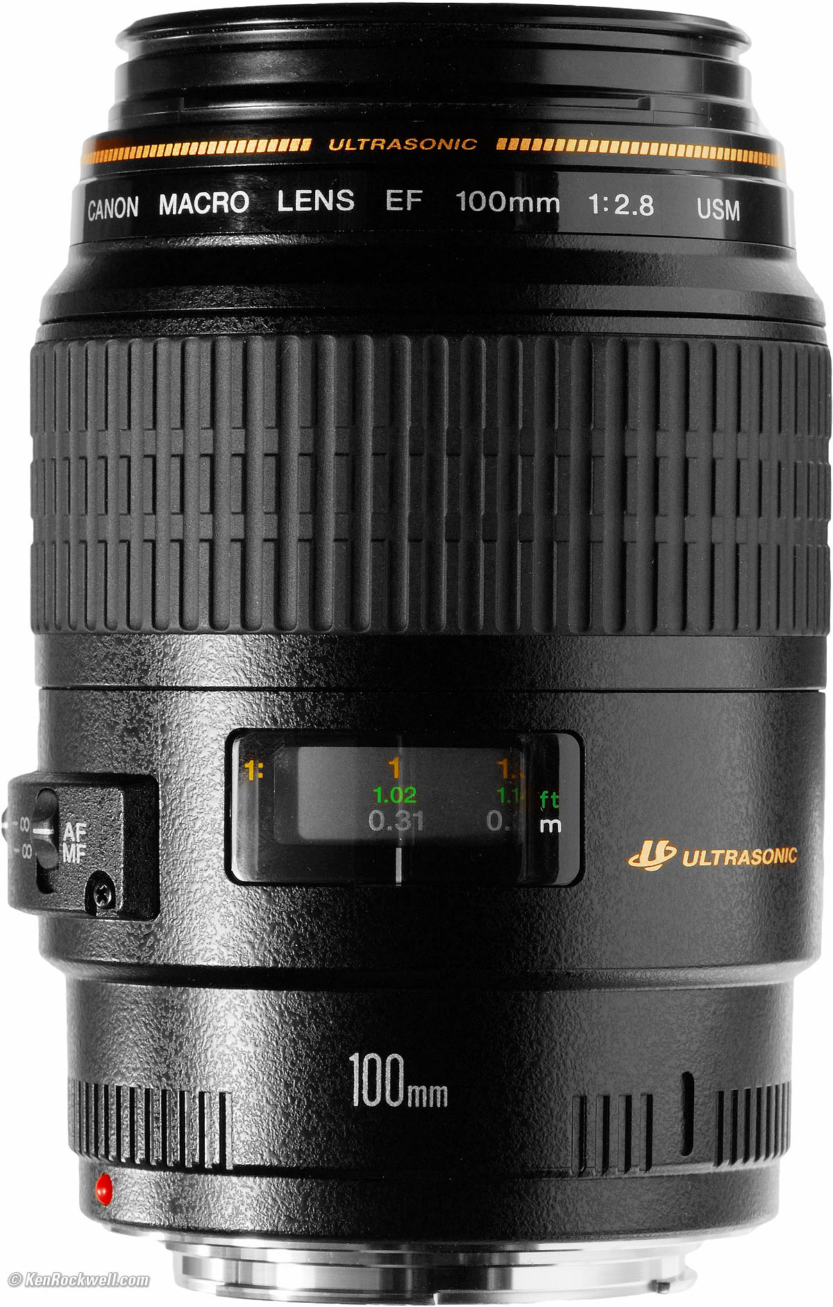 Canon EF 100mm f/2.8 Macro USM Review