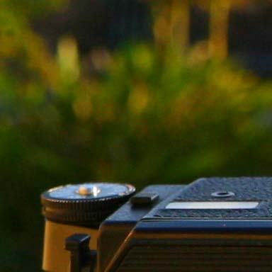Canon 17-55mm f/2.8 IS Review