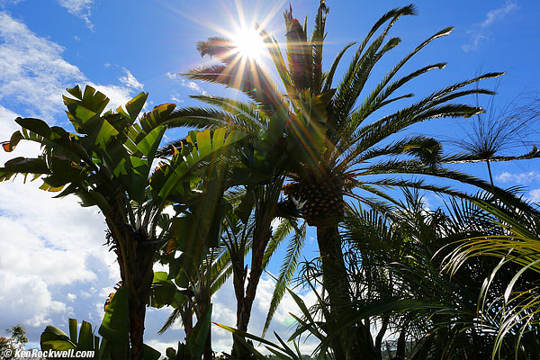 Canon 24mm IS sunstars