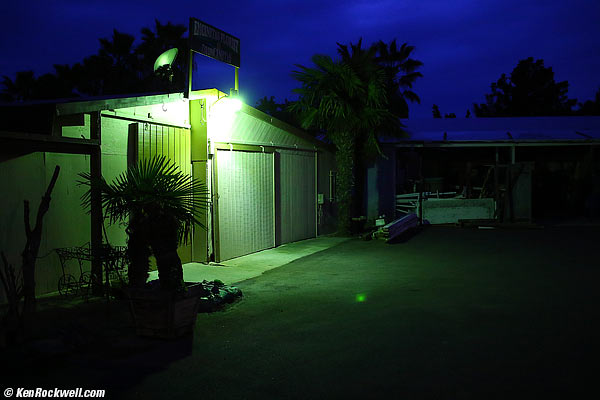 Ghost at the Growers, 28 January 2015