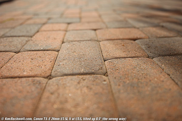 Canon 24mm TS-E II Review Canon 24mm TS-E II Review