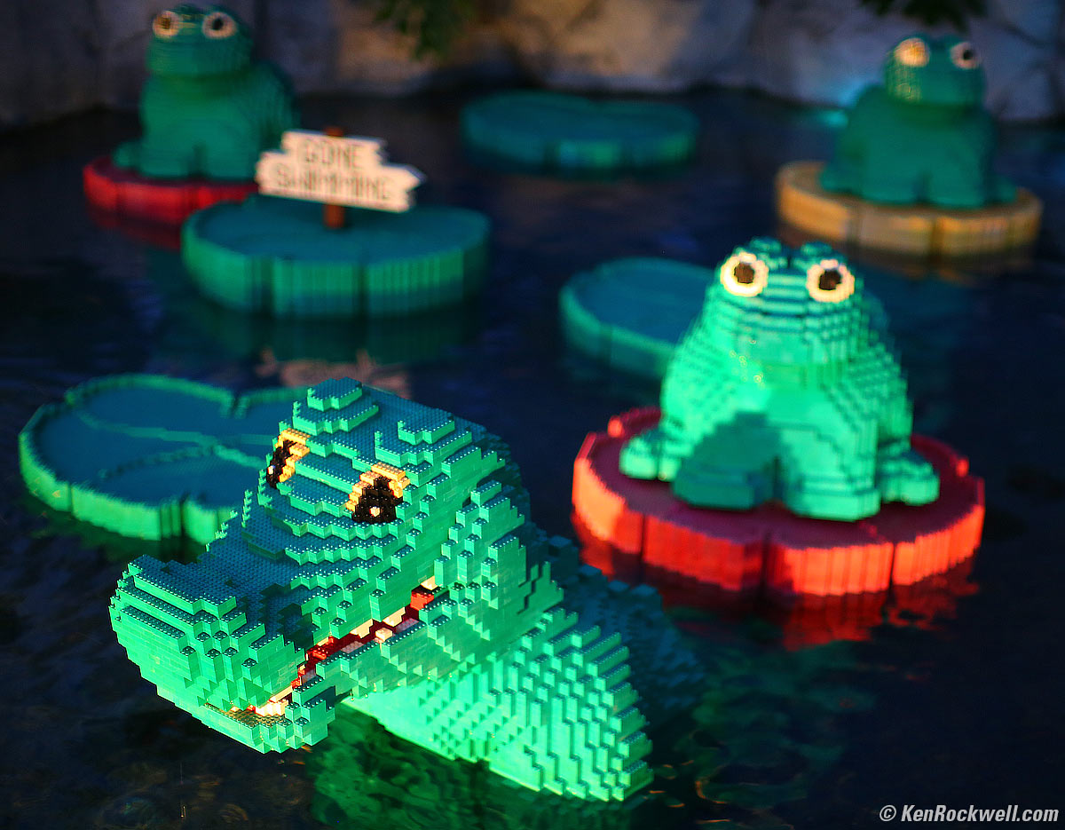 Gators 04 Nov 2013
