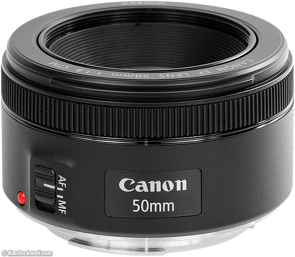 Canon 50mm f/1.8 STM Review